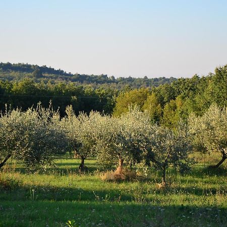 Villa Olivetta By Istrian Country Houses Barat  外观 照片