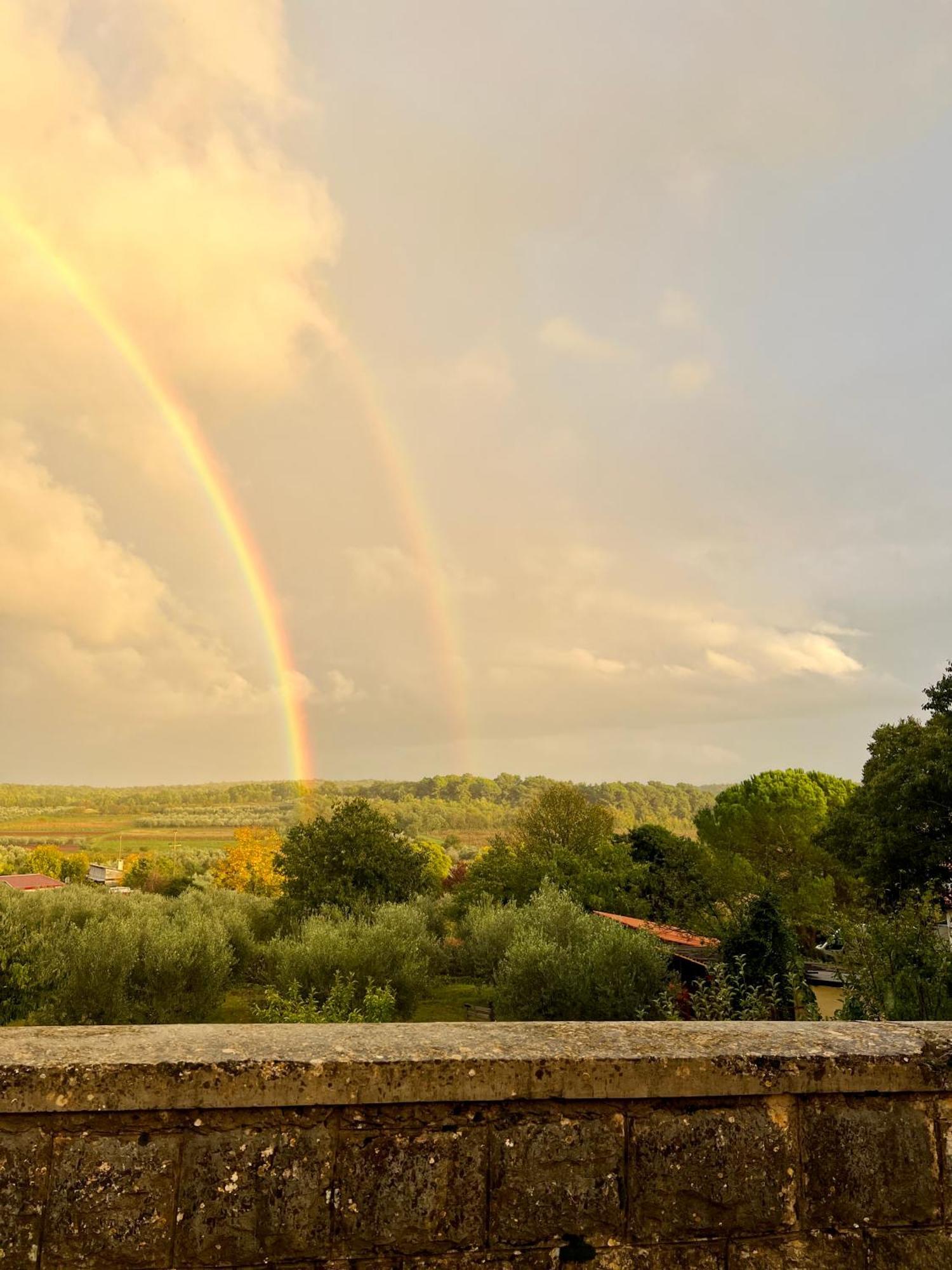 Villa Olivetta By Istrian Country Houses Barat  外观 照片