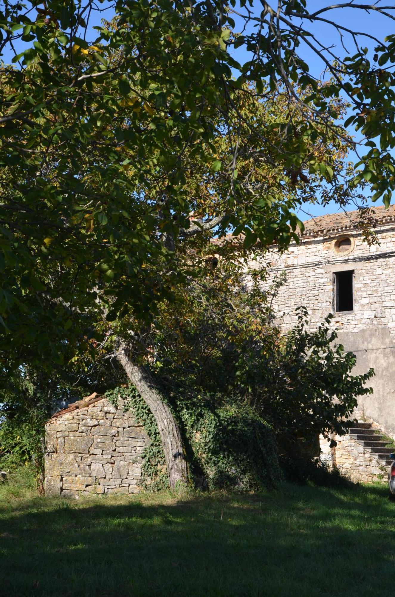 Villa Olivetta By Istrian Country Houses Barat  外观 照片