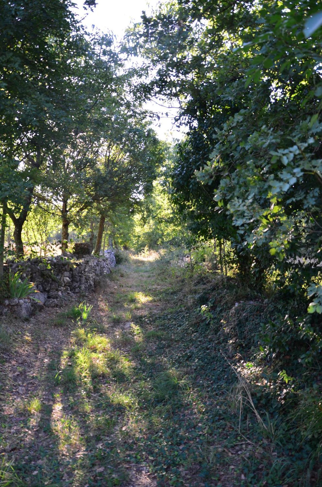 Villa Olivetta By Istrian Country Houses Barat  外观 照片