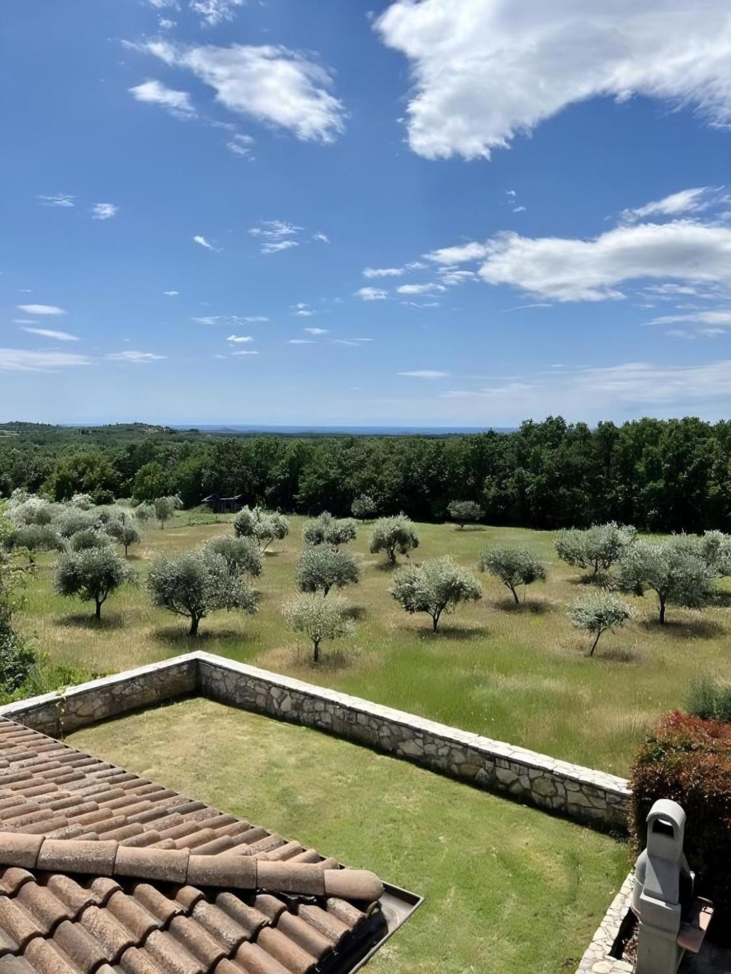 Villa Olivetta By Istrian Country Houses Barat  外观 照片