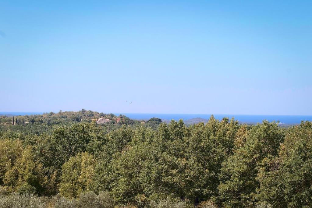 Villa Olivetta By Istrian Country Houses Barat  外观 照片